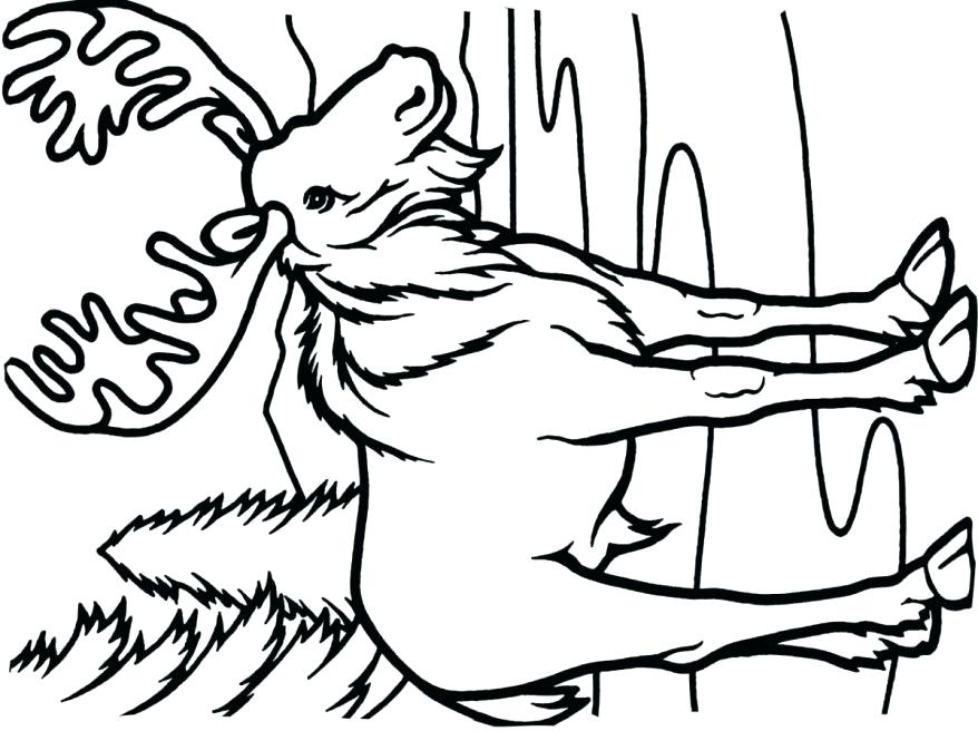 878x656 Grade Coloring Pages Amazing Sight Word Coloring Pages First