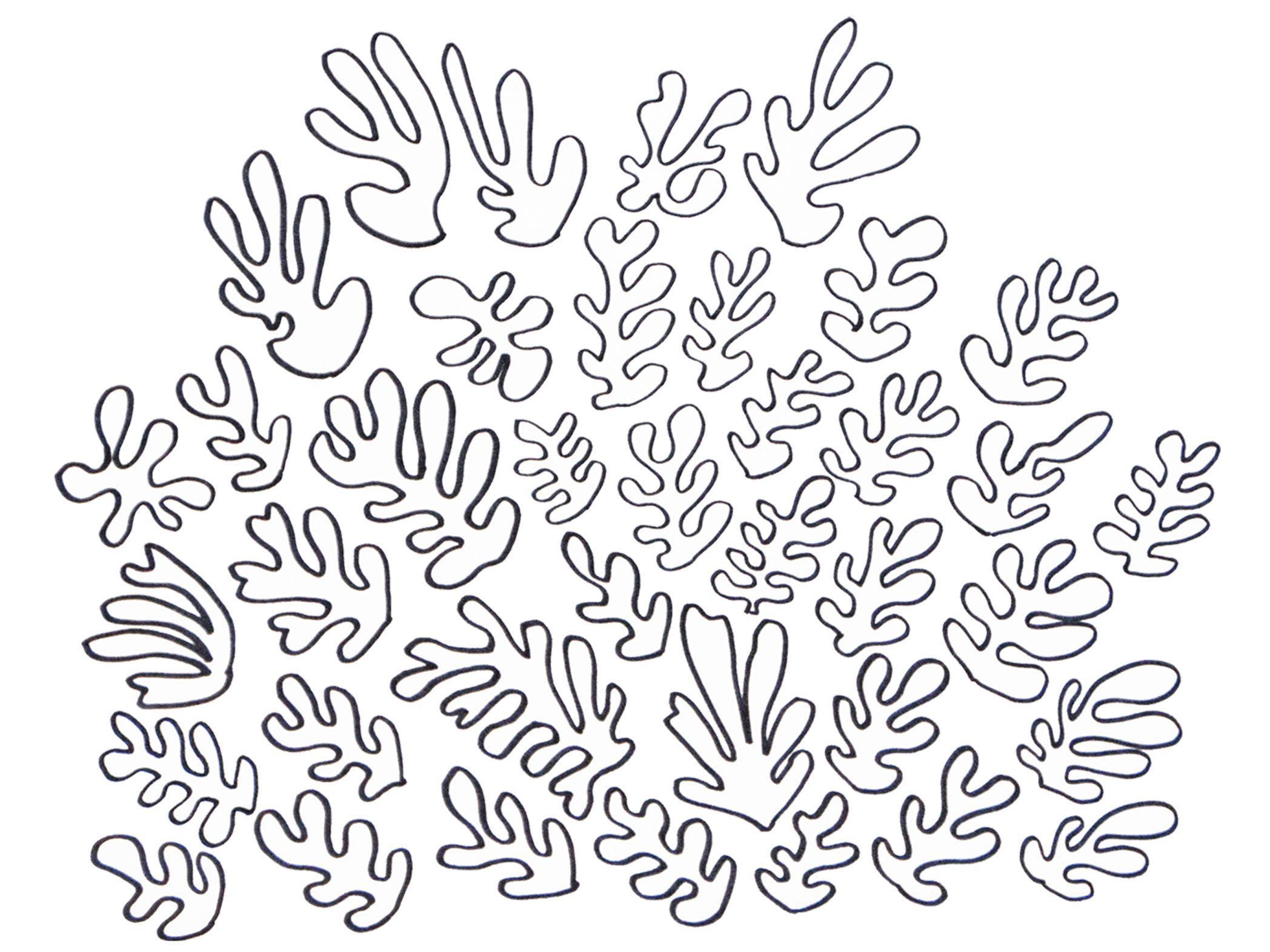 2096x1571 Matisse Snail Colouring Pages Tagged With Matisse Coloring Pages