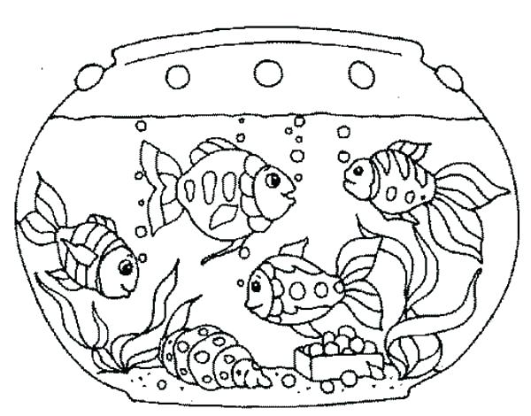 600x470 Matisse Coloring Pages Classy Goldfish Coloring Page Online