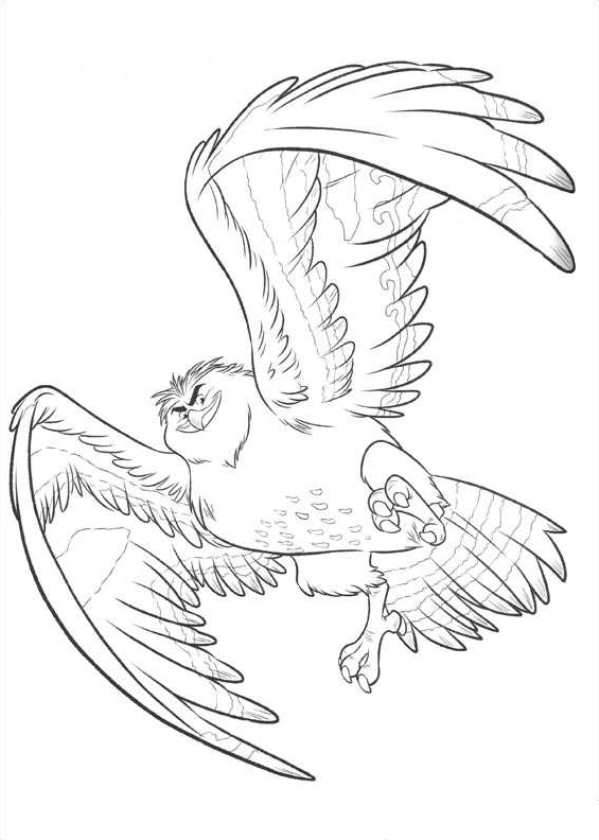 599x840 Moana Maui The Eagle Coloring Pages
