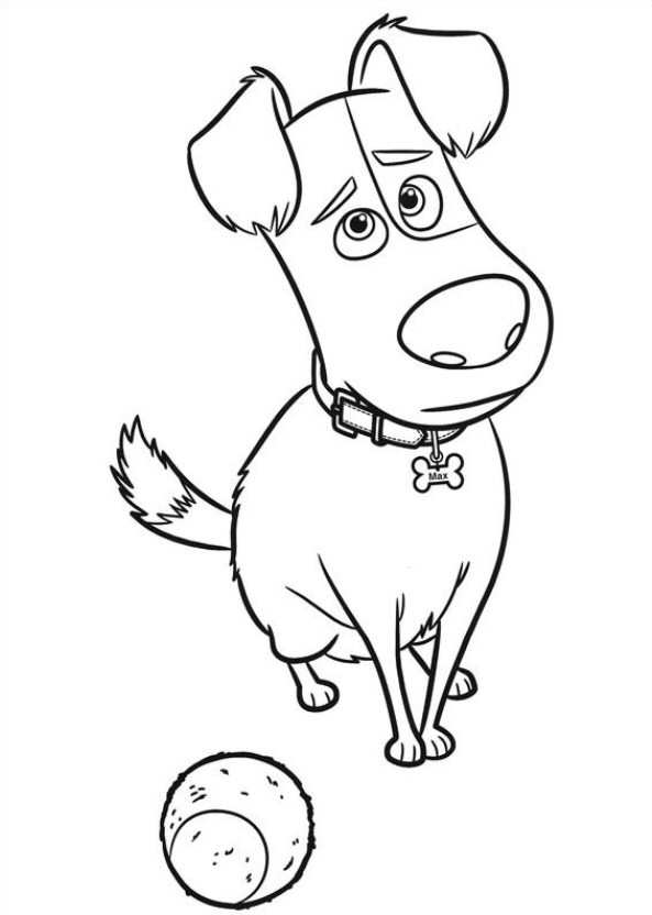 593x832 Kids N Coloring Pages Of Secret Life Of Pets