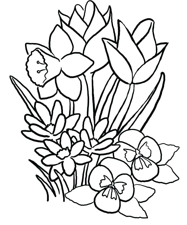 728x878 Flower Coloring Pages To Print Coloring Pages Flowers For Flower