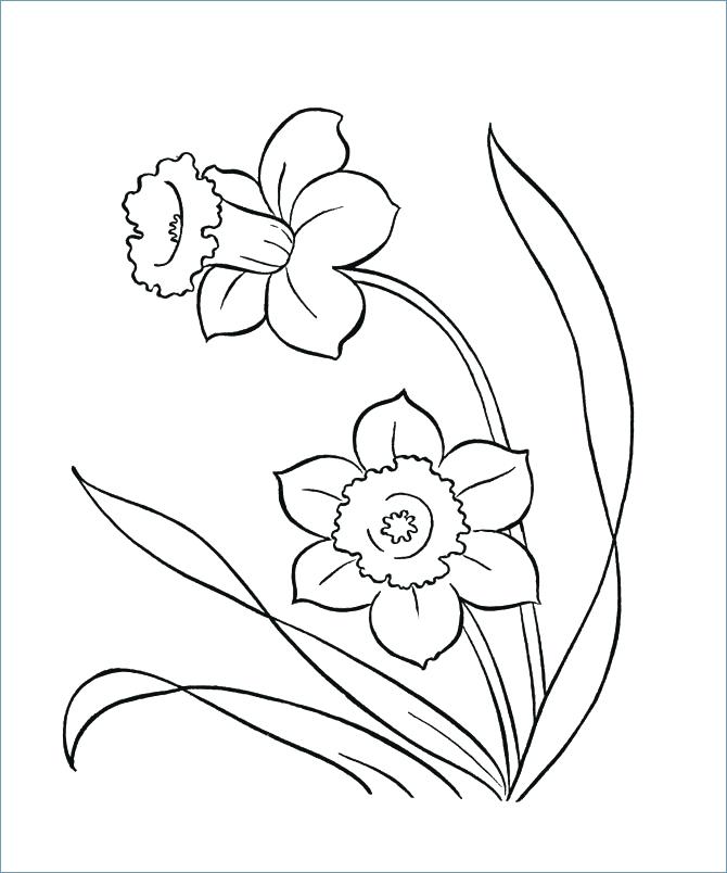 670x804 Flowers Coloring Pages Printable Spring Flowers Coloring Page Many