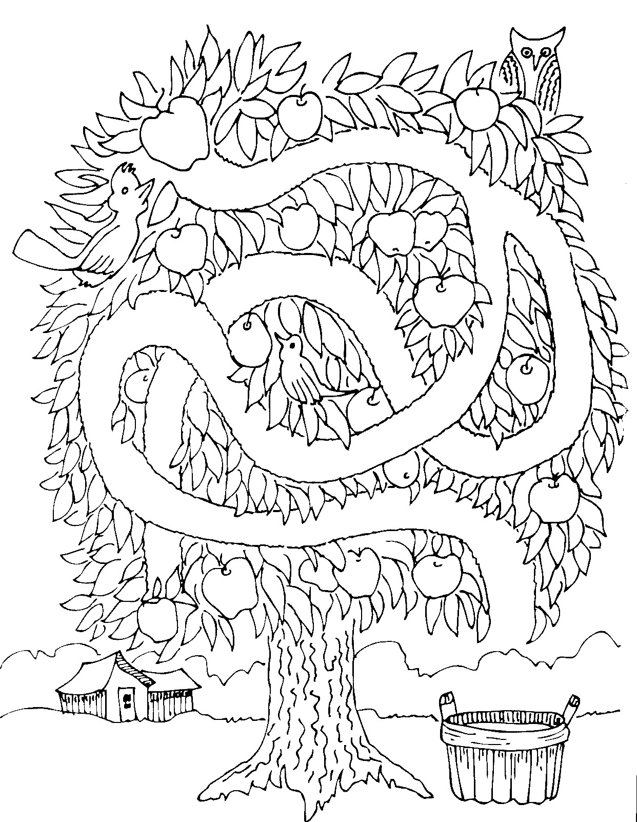 1242x1602 Worm Maze Coloring Page Labirintus To Print