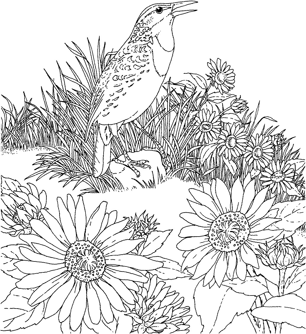 1034x1128 Free Printable Sunflower Coloring Pages For Kids