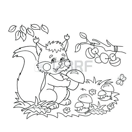 450x450 Meadow Coloring Page Coloring Page Outline Of Cartoon Squirrel