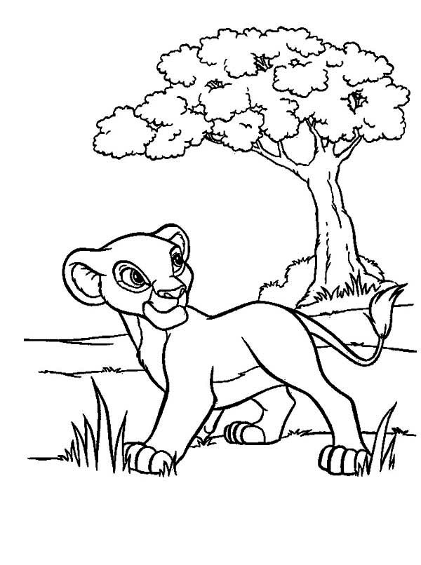 600x806 Simba Walking In The Meadow The Lion King Coloring Page Coloring