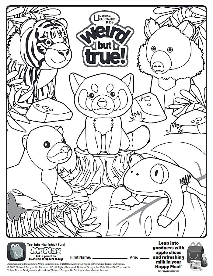 700x906 Here Is The Happy Meal National Geographic Coloring Page! Click
