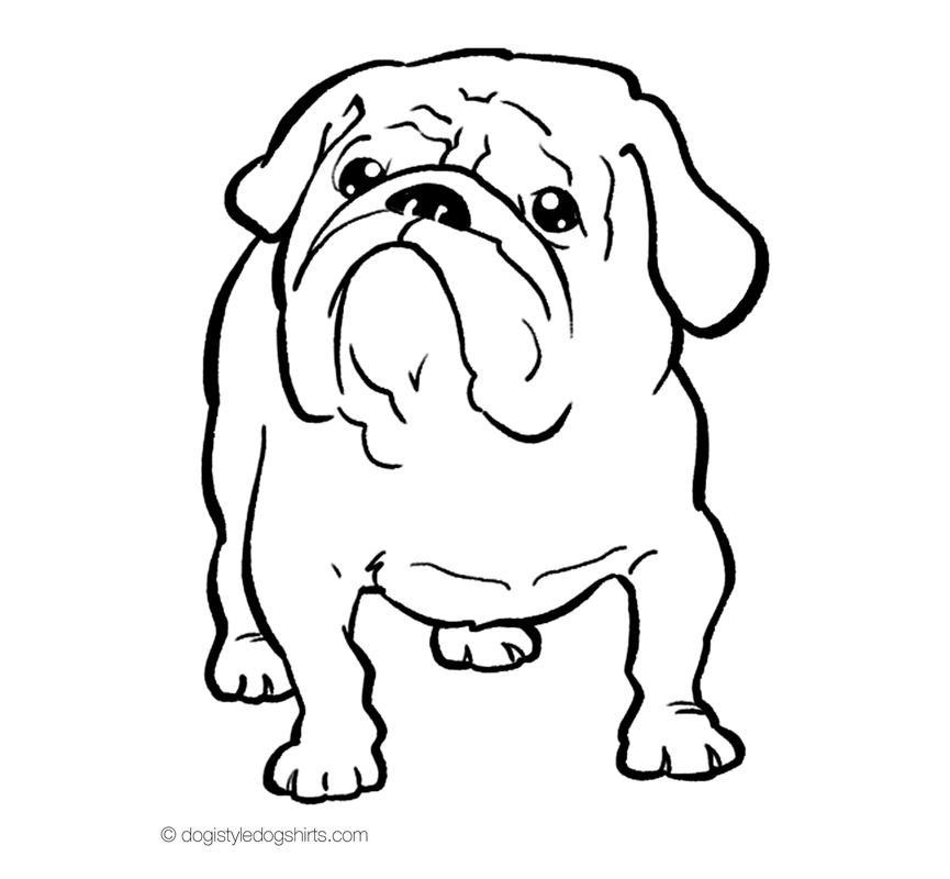 865x800 English Bulldog Clipart Coloring Page
