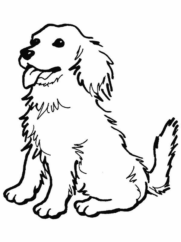 600x800 Coloring Page Dog Top Free Printable Dog Coloring Pages Online