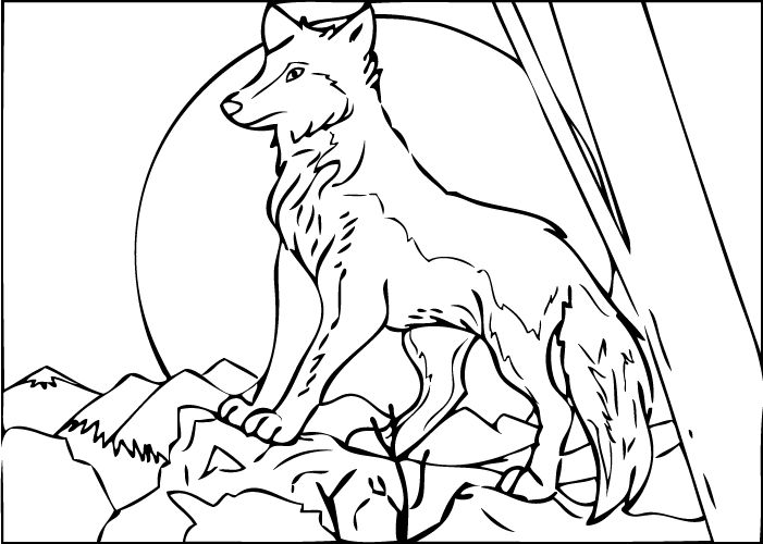 701x500 Free Printable Wolf Coloring Pages Artistic, Sketch And Realistic