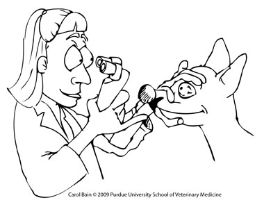 367x298 Free Coloring Pages