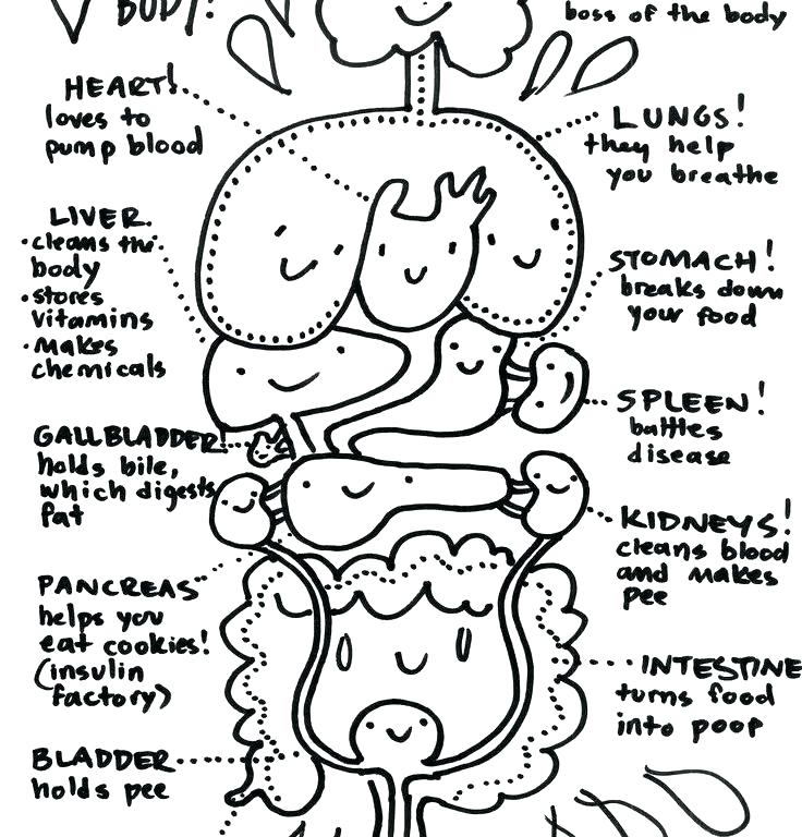 736x768 Medical Instruments Coloring Pages Printable Coloring Free Medical