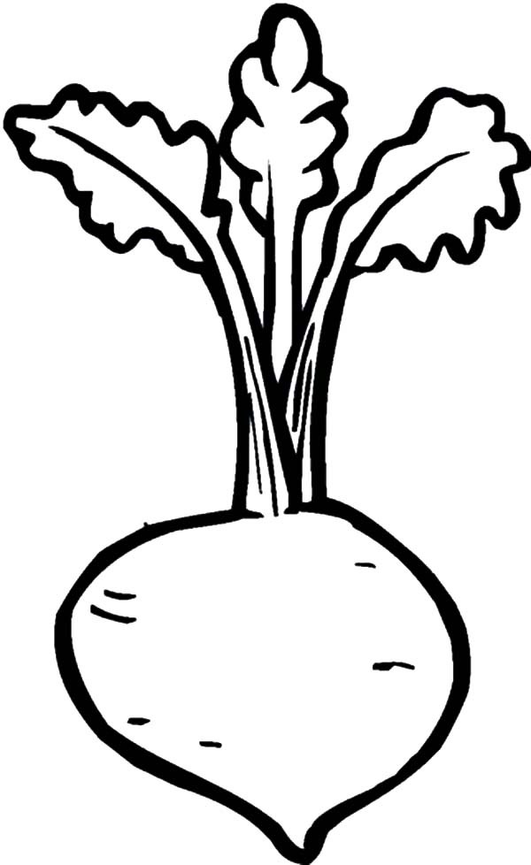 600x978 Medicine Plant Beets Coloring Pages Best Place To Color