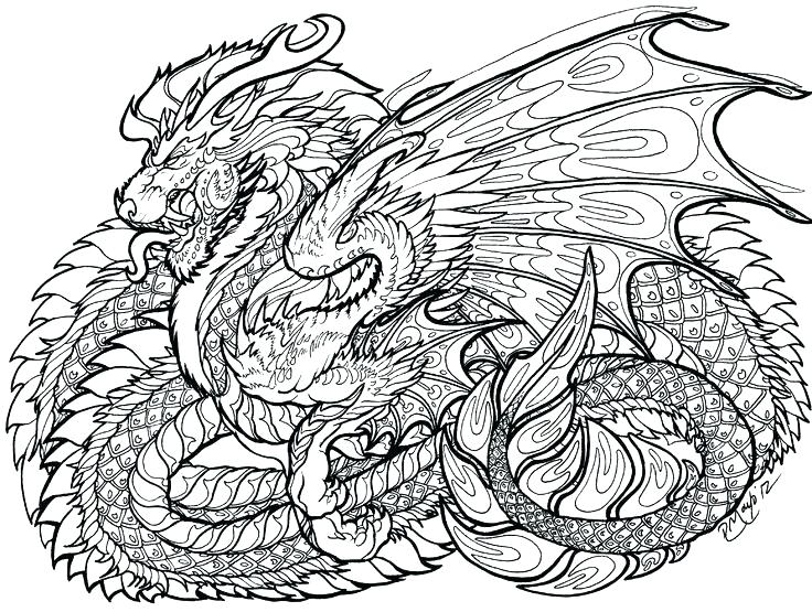736x555 Free Dragon Coloring Pages Dragons Coloring Pages Coloring