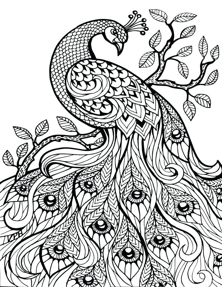 736x952 Medium Level Coloring Pages Hummingbird To Color Mostros