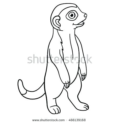 450x470 Meerkat Coloring Pages Meerkat Colouring Pages To Print Lukas