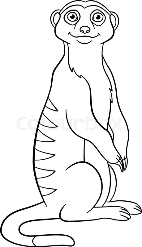 459x800 Coloring Pages Little Cute Meerkat Stands And Smiles Stock