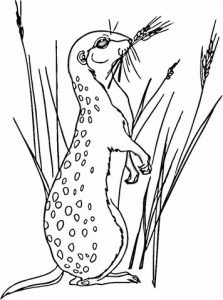 223x300 Download For Free Meerkats Coloring Pages