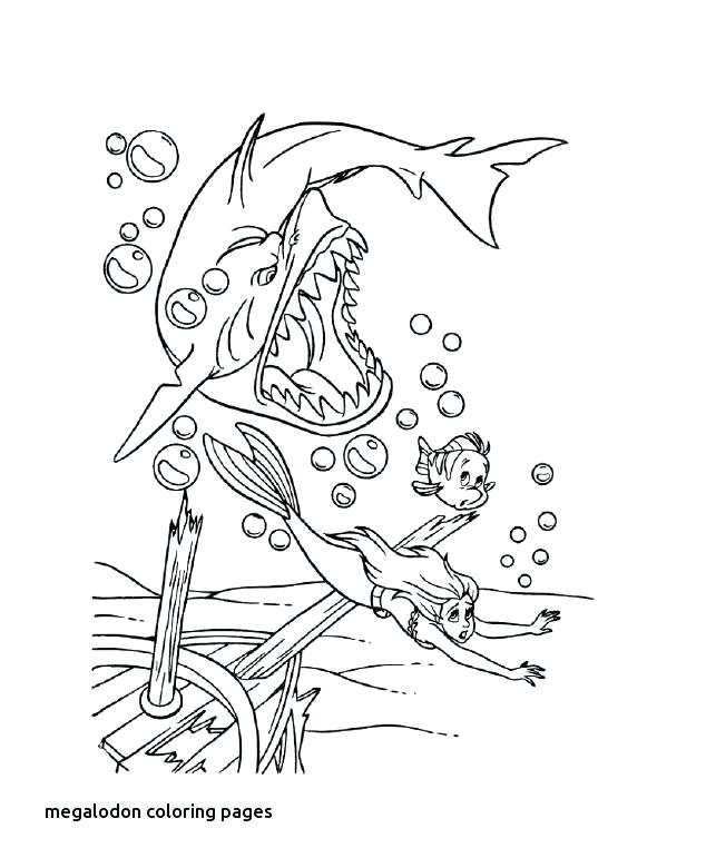 634x780 Megalodon Para Colorear Best Ocean Images On For Coloring Pages