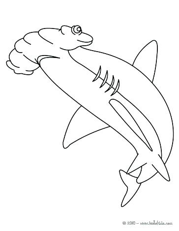 364x470 Megalodon Shark Coloring Pages Coloring Pages Shark Coloring Pages