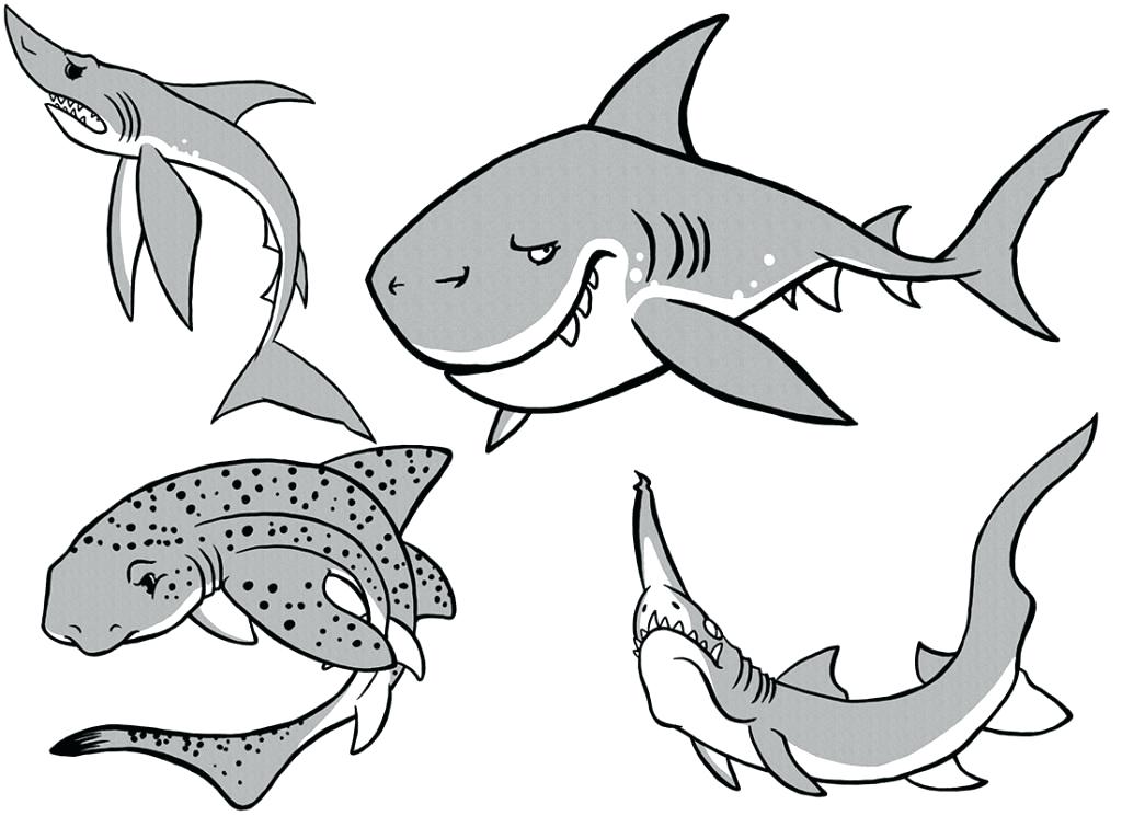 1024x745 Megalodon Shark Coloring Pages Shark Coloring Pages Top Gear