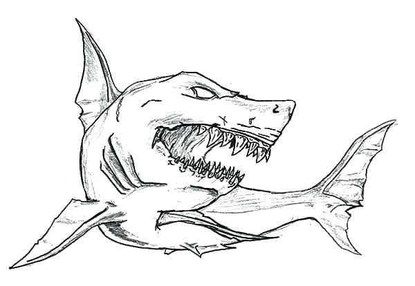 600x414 Megalodon Coloring Pages Shark Coloring Pages Great White Shark