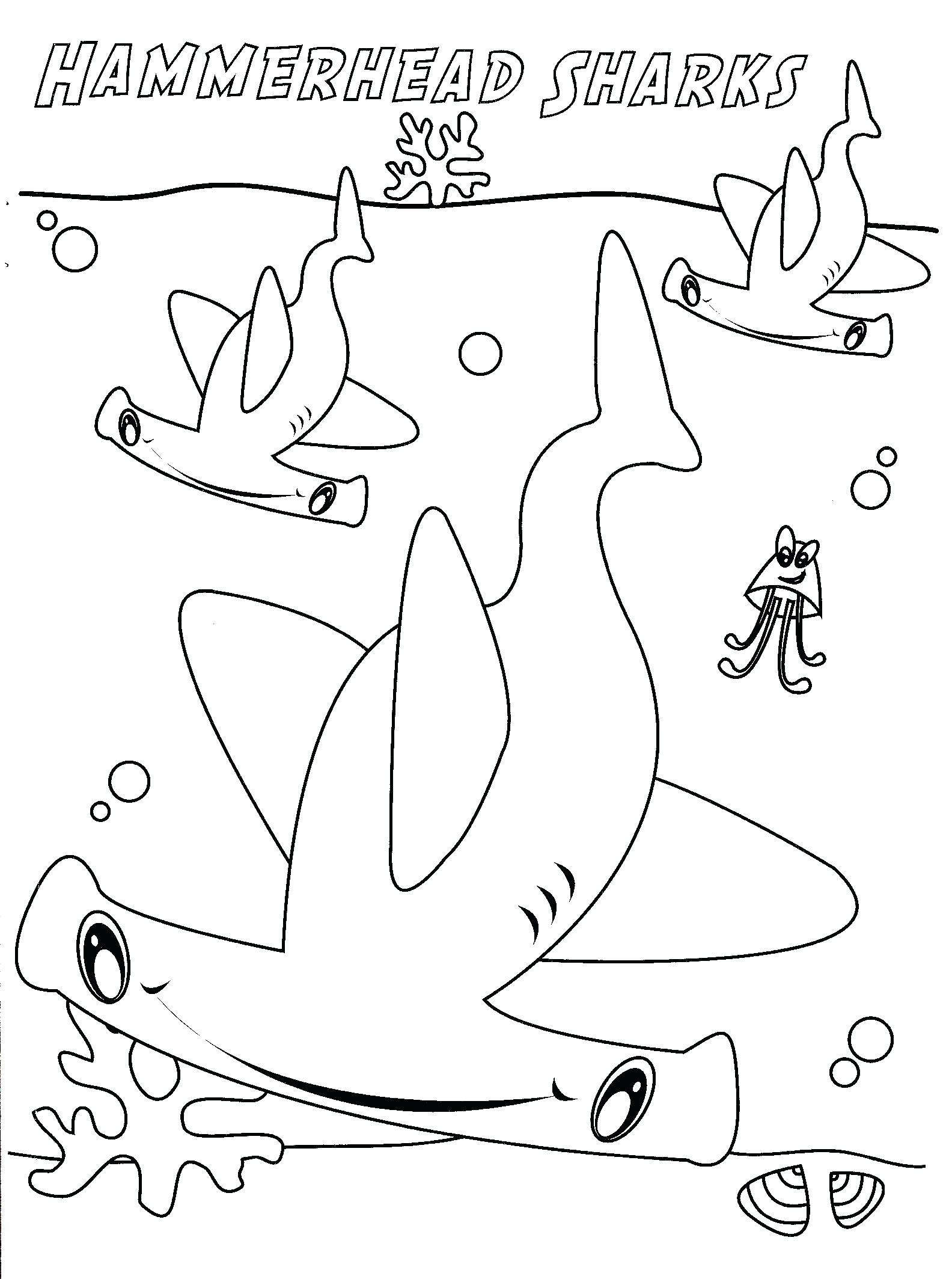 1584x2127 Megalodon Shark Coloring Page Free
