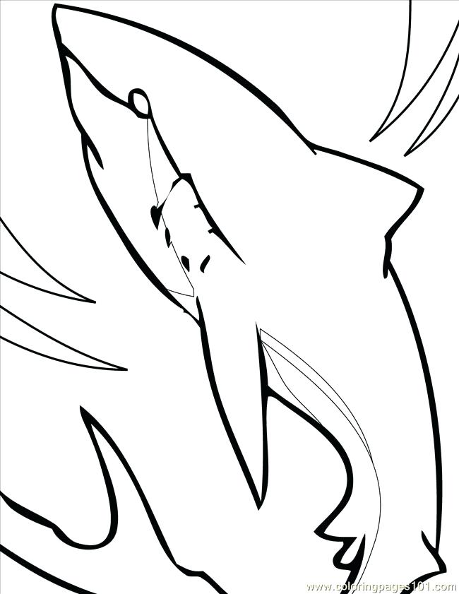 650x841 Megalodon Shark Coloring Pages Shark Coloring Pages Coloring Pages