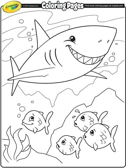420x560 Megalodon Shark Coloring Pages X A A Previous Image Wallpaper
