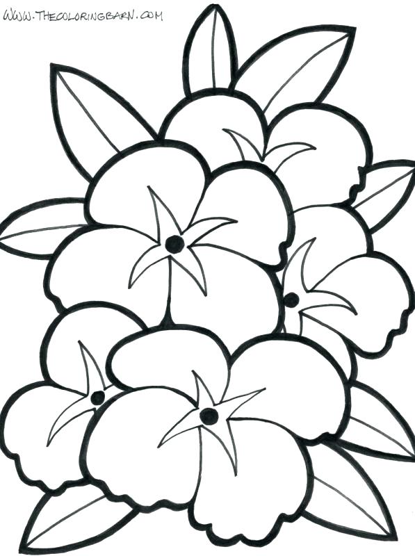 597x800 Shark Coloring Pages Shark Coloring Pages Tropical Flower Coloring