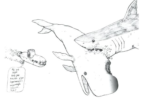 600x423 Free Coloring Pages On Art Coloring Pages Shark Coloring Pages New