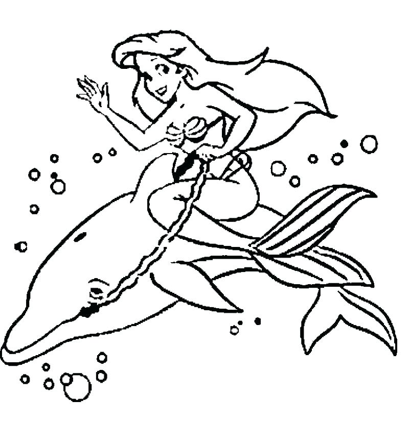 800x831 Dolphin Color Page Dolphin Coloring Pages To Print Out And Mermaid