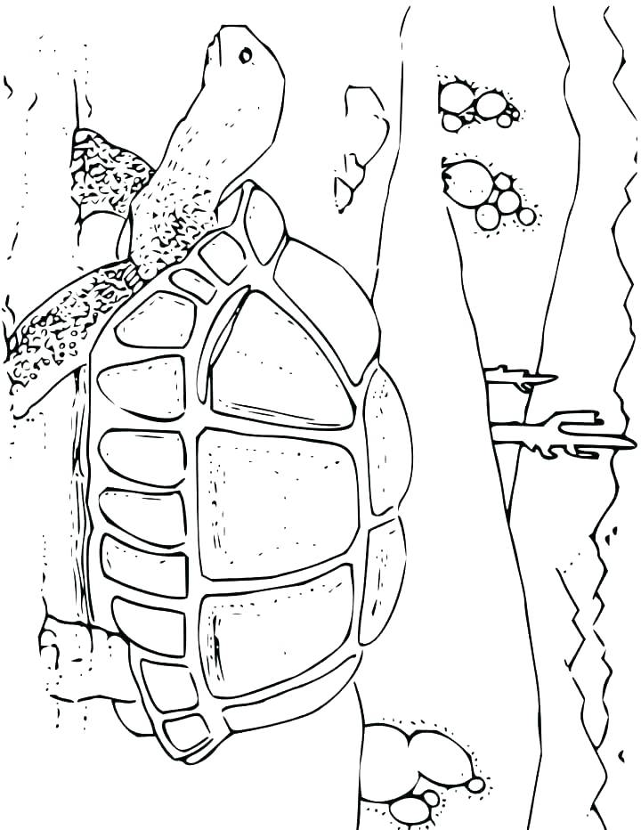 720x932 Mesopotamia Coloring Pages Coloring Pages Coloring Pages World