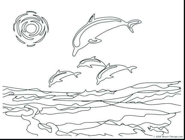 618x470 Free Dolphin Coloring Pages Innovative Dolphin Coloring Pages Book