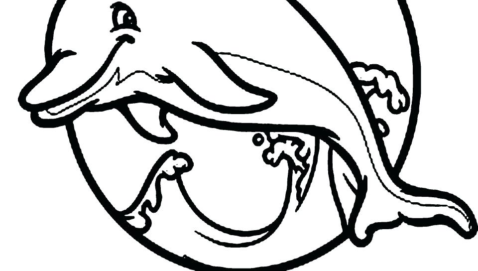 960x544 Miami Dolphin Color Air Max Whales Coloring Pages Dolphins