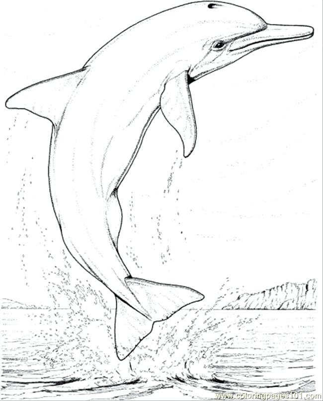 650x808 Printable Dolphin Coloring Pages Coloring Pages Dolphin Jump