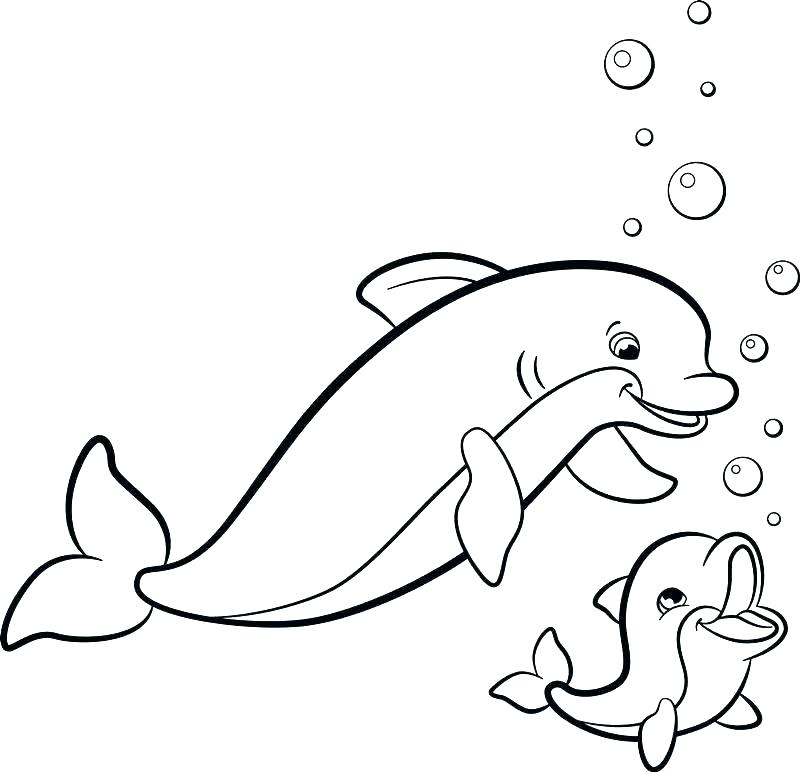 800x772 Dolphins Coloring Page