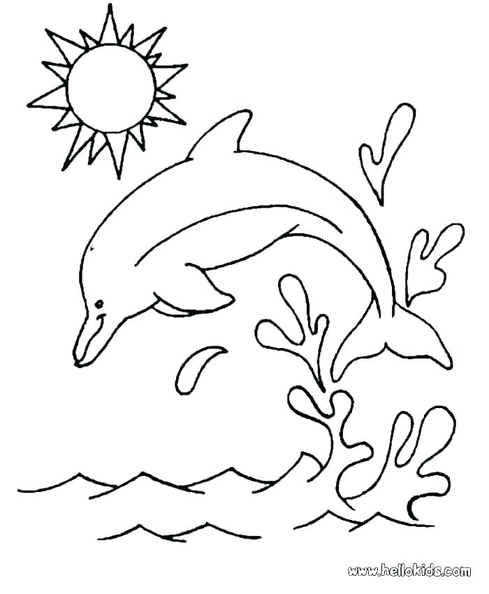 700x850 Dolphins Coloring Sheets