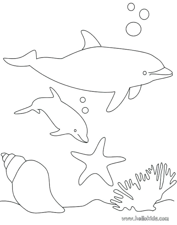 671x850 Dolphin Color Pages Dolphin Coloring Page For Kids Miami Dolphin
