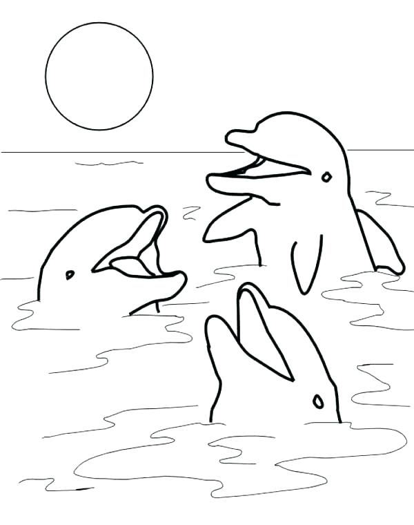 600x760 Dolphins Coloring Page Lovely Dolphin Dolphin To Color In Coloring