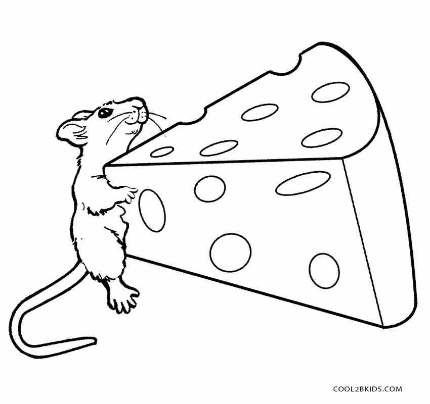 850x800 Mouse Coloring Pages Amazing Mouse Coloring Pages For Free
