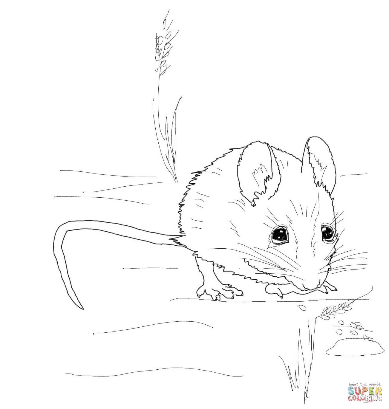 1302x1372 Mice Coloring Pages Free Coloring Pages Mouse Coloring Pages