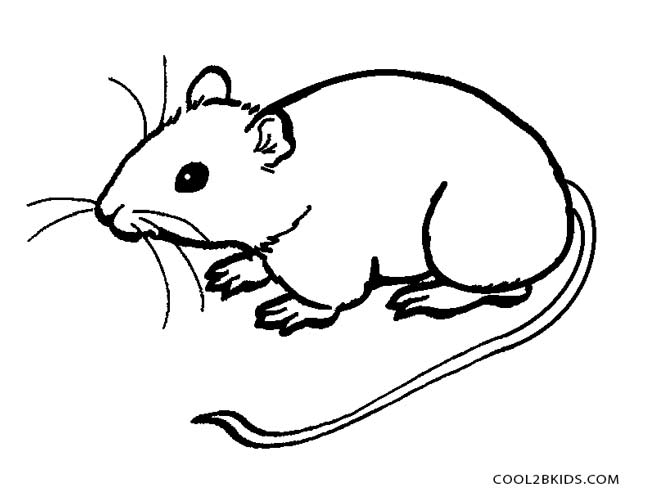 650x499 Mouse Coloring Pages Perfect Mouse Coloring Pages