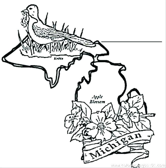 650x659 Michigan Coloring Book Coloring Pages Coloring Page Coloring Pages