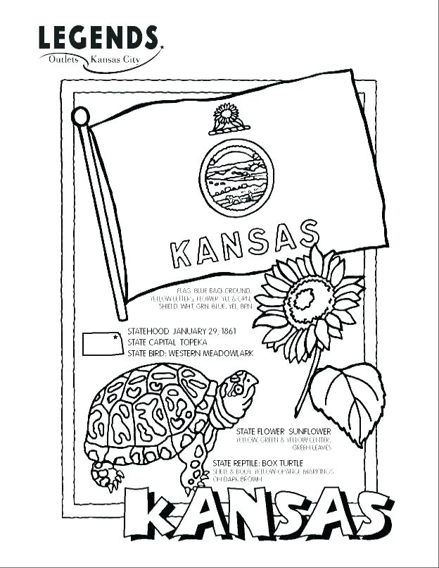 624x806 Michigan State Coloring Pages Astounding Coloring Pages State Flag