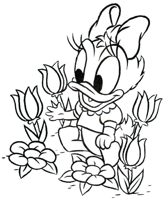 537x650 Mickey Mouse Baby Coloring Pages Disy Baby Mickey Mouse Characters