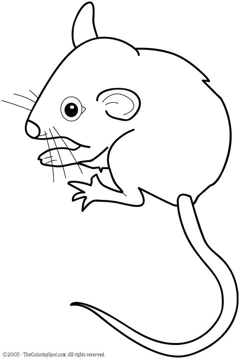 483x720 Mouse Coloring Pages Printable Mouse Coloring Pages Printable