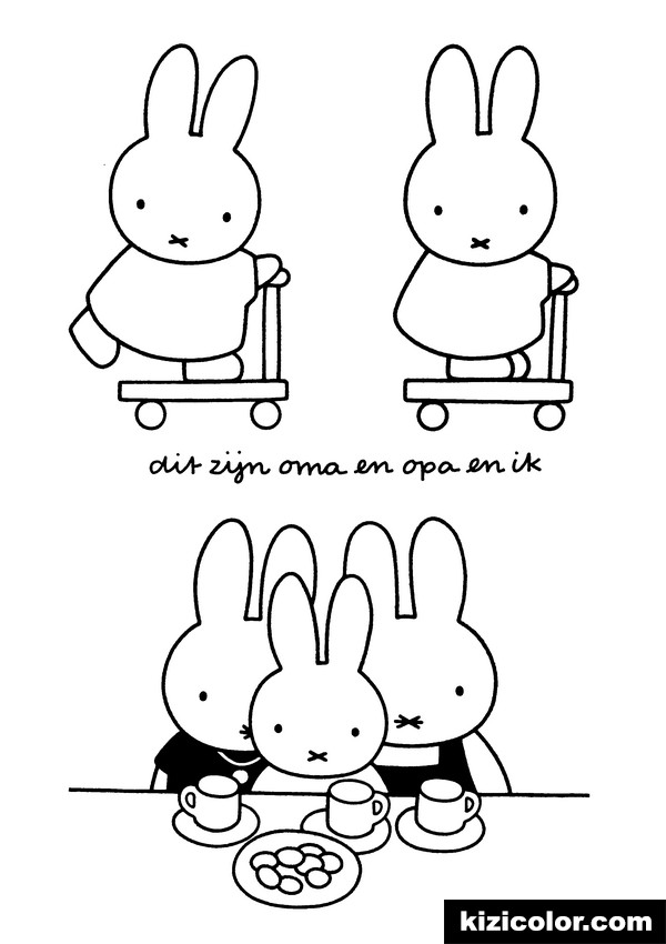 600x850 Miffy