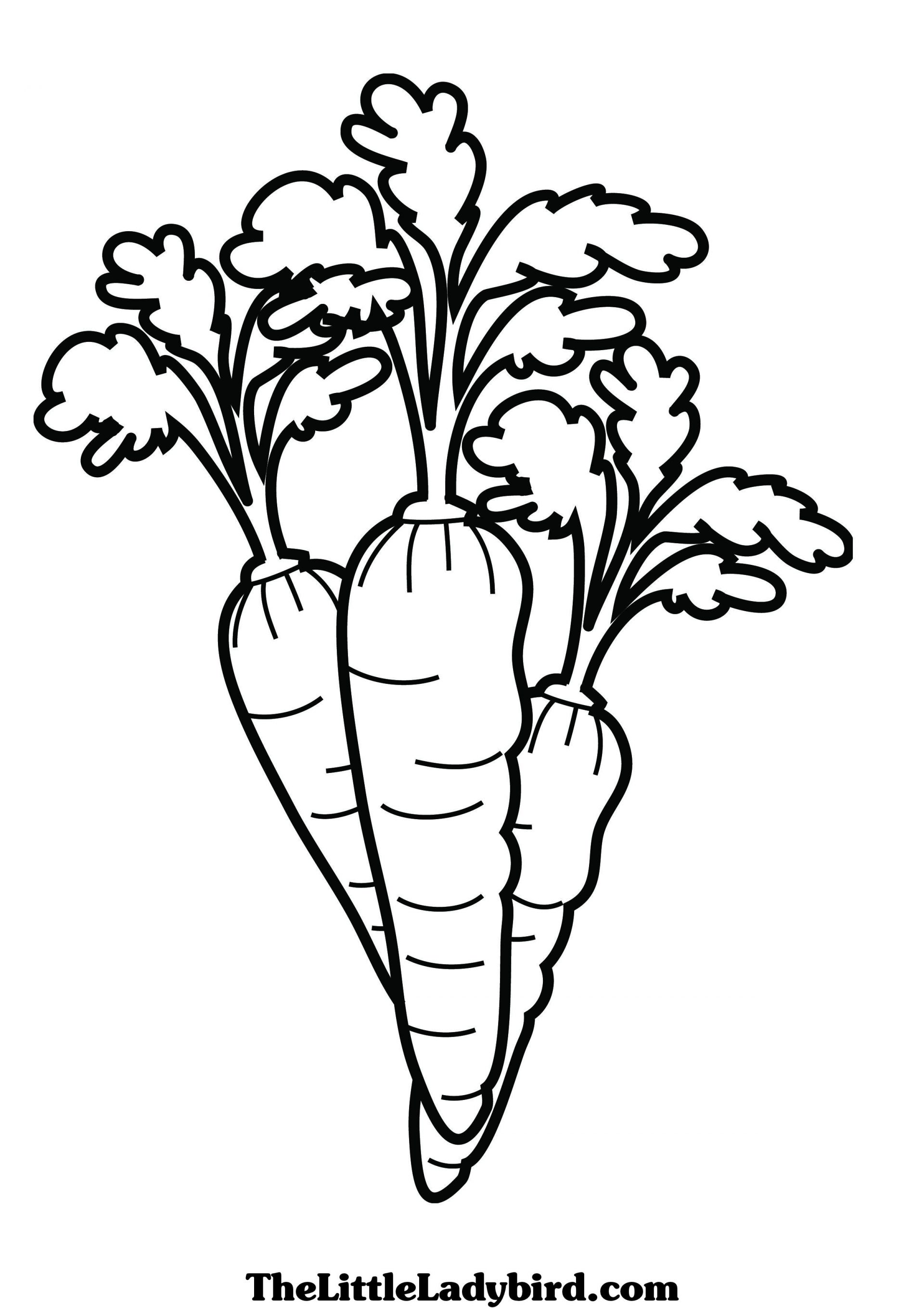 1920x2716 Carrot Coloringees Photo Highest Quality Miffy With Free Printable